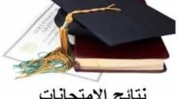 بوابة التعليم الأساسي.. موعد ظهور نتائج الشهادة الإعدادية لطلاب القاهرة بالاسم ورقم الجلوس